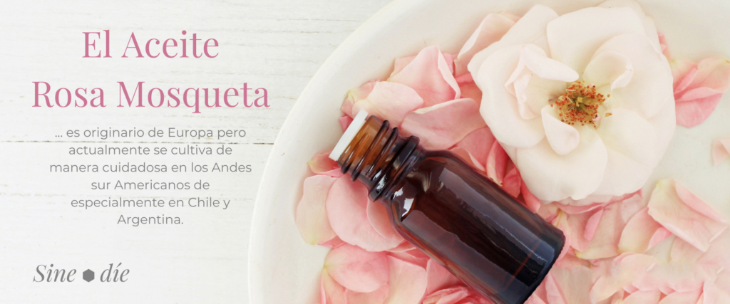 Imagen y texto sobre el aceite Rosa Mosqueta